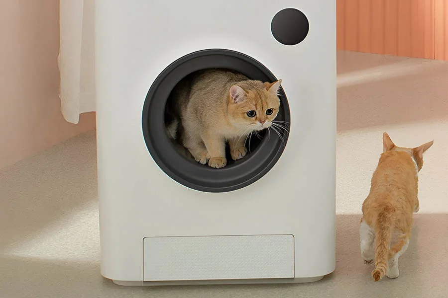 cat electric litter box